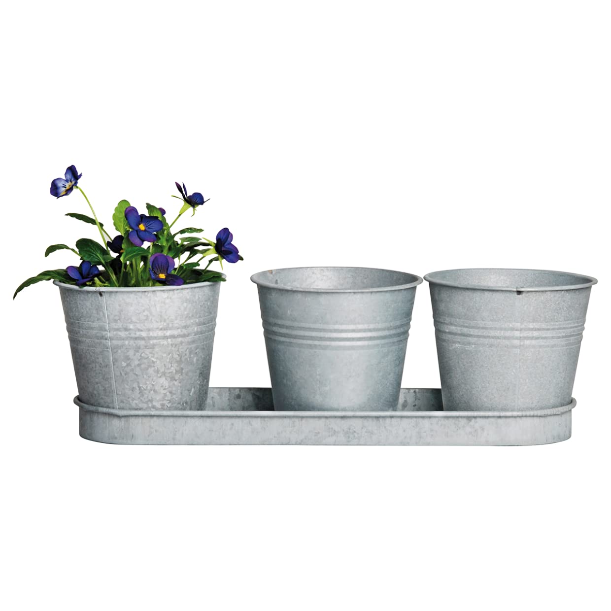Fallen Fruits OZ22 Old Zinc 3 Pots on a Tray, Grey