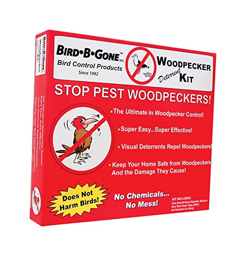 Top 3 Best Woodpecker Deterrents | Updated for 2019