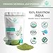 Organic Moringa Oleifera Leaf Powder : USDA Certified and 100% Raw from India, 1.1 lbs (500 g)