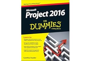 Project 2016 For Dummies