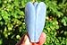 Zenergy Gems Selenite Charged Hand Carved Natural Angelite Crystal XL 3