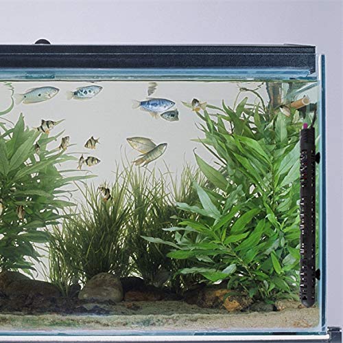6 Submersible+Aquarium+Thermostat+Temperature+Thermometer