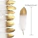 Shindel Gold Dipped Feathers, 60 PCS Natural Feathers Gold Feathers for Art Craft Decor Baby Shower Decorations