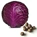 20 Red Cabbage Seed Balls (Red Acre)- Herb & Vegetable Seed Bombs to make gardening fun and simple!