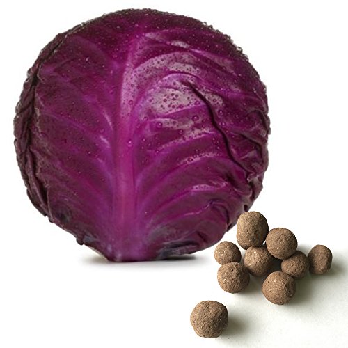 20 Red Cabbage Seed Balls (Red Acre)- Herb & Vegetable Seed Bombs to make gardening fun and simple! 20 Red Cabbage Seed Balls (Red Acre)- Herb & Vegetable Seed Bombs to make gardening fun and simple!