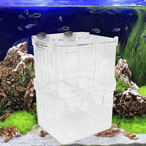 ttnight Acrylic Fish Tank Breeding Box Aquarium Double Guppies Hatching Incubator