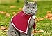 Cat Costume, Legendog Christmas Pet Costumes Red Velvet Pet Cape Pet Apparel for Small Dogs and Cats (Red, S)
