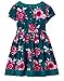 Gymboree Girls' Toddler Graphic Print Dressy Dress