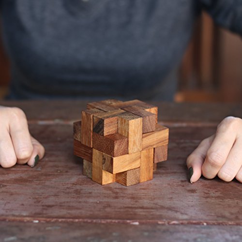 Labyrinth: IQ Building Educational 3D Wood Puzzle & Handmade Traditional Wood Brainteaser for Adults & Improve Creative Thinking from with SM Gift Box(Pictured)