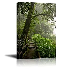 Canvas Prints Wall Art - DOI Inthanon are Rainforest in Thailand on Summer - 12" x 18"