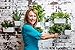 Vertibloom Living Wall Garden Starter Kit – Modular Indoor Vertical Planter Systemthumb 2