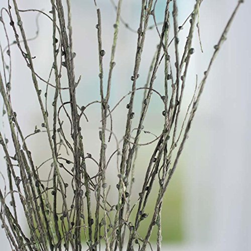 Factory Direct Craft Hand Wrapped Artificial Curly Twig Vine Spray for Embellishing Home and Holiday Crafts and Decor (Dark Green)