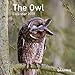 The Owl Calendar 2019 by