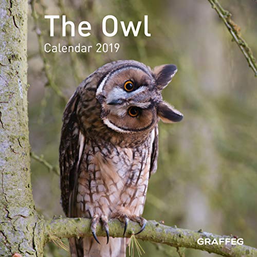 The Owl Calendar 2019 by Jane Russ