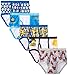 LEGO Handcraft Boys 2-7 Movie 5 Pack Brief, Assorted, 4