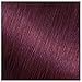 Garnier Hair Color Nutrisse Nourishing Creme, 362 Darkest Berry Burgundy (Raspberry Jam) Red Permanent Hair Dye, 2 Count (Packaging May Vary)