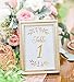 VNS Creations Gold Foil Table Numbers Cards. 4 x 6 Inches Double Sided Table Numbers perfect for Wedding, Receptions, Parties, Events, Banquets. Numbers 1-25 and Head Table Card Included.