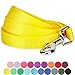 Blueberry Pet Essentials Blazing Yellow Dog Leash for Medium - 5' * 3/4
