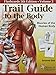 Trail Guide to the Body Flashcards: Muscles of the Human Body: 2