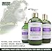 BOTANICAL HAIR GROWTH LAB - Volume Conditioner - Lavender Cypress - Essential Hair Recovery - Sensitive Scalp/Rejuvenating - For Hair Thinning Prevention Alopecia Postpartum DHT Blocker - 10.2 Oz