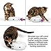 PetFusion Ambush Interactive Cat Toys for Indoor/Outdoor Activity - New & Improved Cat Feather Toys Replacement Feathers Available 12 Month Warranty