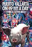 Puerto Vallarta On 49 Brain Cells A Day by Gil Gevins