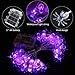 YUNLIGHTS Halloween Spider String Lights, Battery Operated 11.5ft 30 LED Waterproof Decoration Lights 8 Lighting Modes for Indoor/Outdoor Halloween Party Christmas Holiday Yard Decorations Decor
