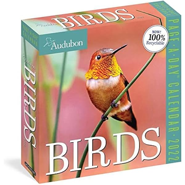 Audubon Calendar 2023 Audubon Birds Page-A-Day Calendar 2022: Workman Calendars: 9781523512645:  Books - Amazon.ca