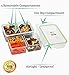 Bento Box Meal Prep Container (1, 39 oz) - Bento Lunch Box, Food Storage Containers With Lids, Portion Control Containers, Divided Lunch Containers, Lunch Boxes for Adults & Kids, Leakproof, BPA Free