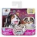 Chubby Puppies & Friends - Single Pack - Bailey Basset