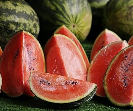 Bobby-Seeds Melonen Samen Crimson Sweet - Wassermelone Portion