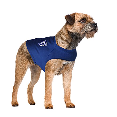 Top thundershirt for dogs medium