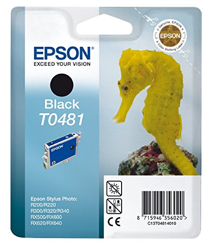 Epson C13T04814010 Tintenpatrone, für Stylus Photo R300 / RX500, schwarz