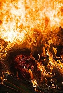 Amazon.com : AOFOTO 6x8ft Burning Fire Flames Background