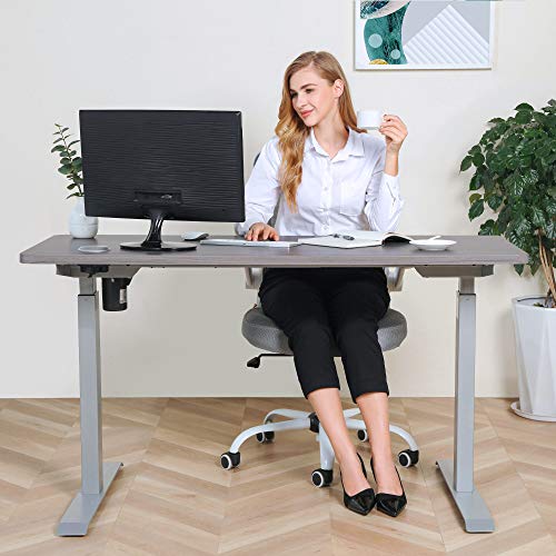 BRODAN Electric Standing Desk with Power Charging Station, Adjustable
