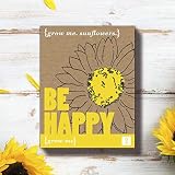 Gift Republic Grow Me Be Happy Sunflower Grow Kit Pack of 2 view 2