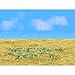 JTT Scenery Products Gardening Plants Series: Ferns, 1