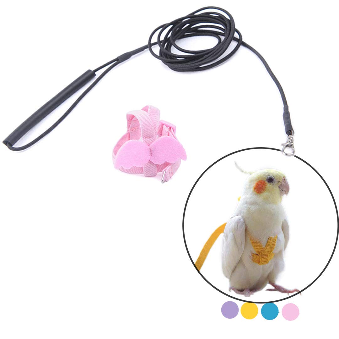 Bird Harness Leash Kit for Walking, Durable Outing Gadget Adjustable Flying Training Rope Strap, Traction Rope for Parrot, Cockatiel, Parakeet, Lory, Conure..