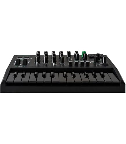 Amazon.com: Waldorf Protein - 8 Voice Wavetable Synth with ASIC