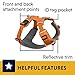 Ruffwear, Front Range Dog Harness, Reflective Soft Padded Everyday Harness with Dual Leash Clips, Adjustable and Lightweight Fit for Training or Walking for All Dogs, Orange Poppy, X-Small