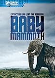 BABY MAMMOTH