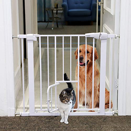 1 Cumbor+Safety+Between+Included+Doorways