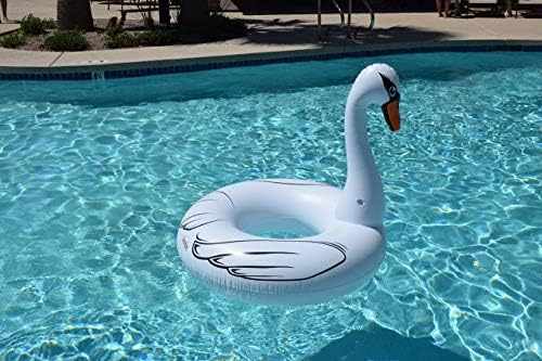 awkward swan pool float
