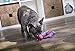 goDog Dinos Spike Squeaky Plush Dog Toy, Chew Guard Technology - Blue, Small