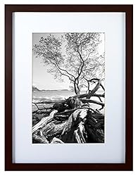 MCS Art Frame with Mat Opening, Walnut, 12 x 16 in