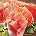 PREXWARE Bamboo Party Forks for Party Buffet Mini Forks 3.5 Inch 100 Ct.