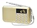 GES NET Mini Digital AM FM LCD Radio Speaker, Micro SD/TF USB Disk Speaker MP3 Music Player Stereo, Portable Pocket Novelty Radio Receiver, Handheld Radio (gold)