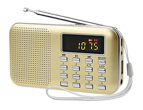 GES NET Mini Digital AM FM LCD Radio Speaker, Micro SD/TF USB Disk Speaker MP3 Music Player Stereo, Portable Pocket Novelty Radio Receiver, Handheld Radio (gold)