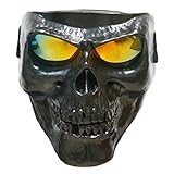 Vhccirt Spooky Skull Face Mask for Airsoft Paintball Motor Racing Polarized Lens