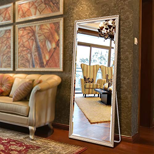 Hans & Alice 65"x24" Rectangular Bathroom Full Length Floor Mirror